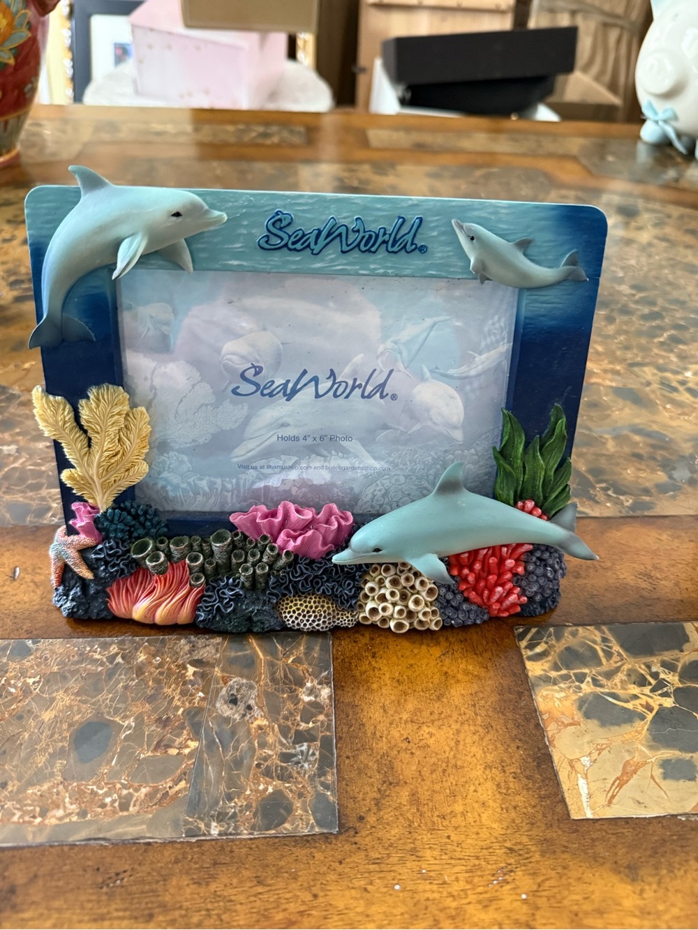 SeaWorld Dolphin Coral Photo Frame in Blue
